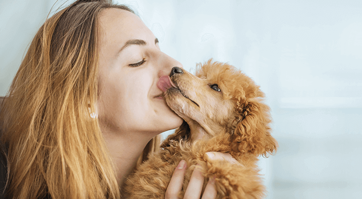 dog licking person's face